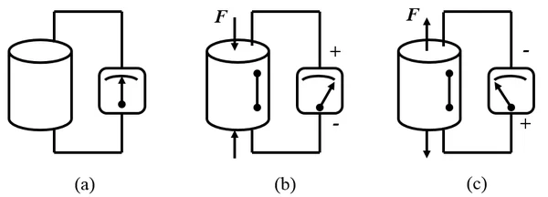 Detailed Explanation of Vibration Direction in Tubular Piezoelectric Ceramics
